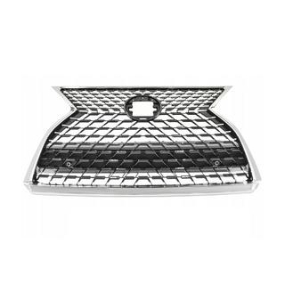Frontgrill (2020-2022, original) foto 1