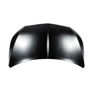 Karrosserikit (Maybach Type-X223 FR, med motorhjelm) foto 3