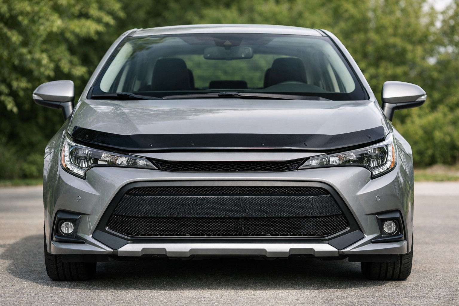 Startpakke til fronten til Toyota Corolla 2019+: beskyttelse mod sten og insekter
