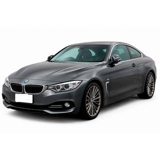 Frontlip DPT (til Base, blank sort) BMW 4-serie F32/F33/F36 2012–2020 foto 1