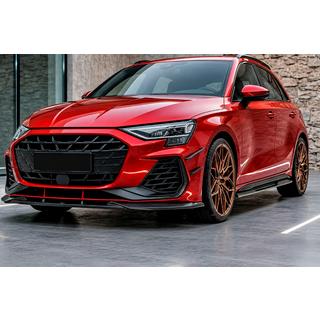 Front lip til kofanger Lip DPT V1 (til RS3, 2024+, blank sort) foto 1