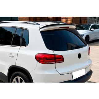 DPT spoiler (2011-2015, blank sort) foto 1