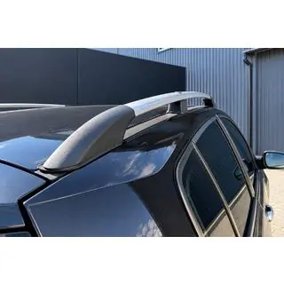 Tagrælinger krom (HB) Renault Megane II 2004–2009 foto 3