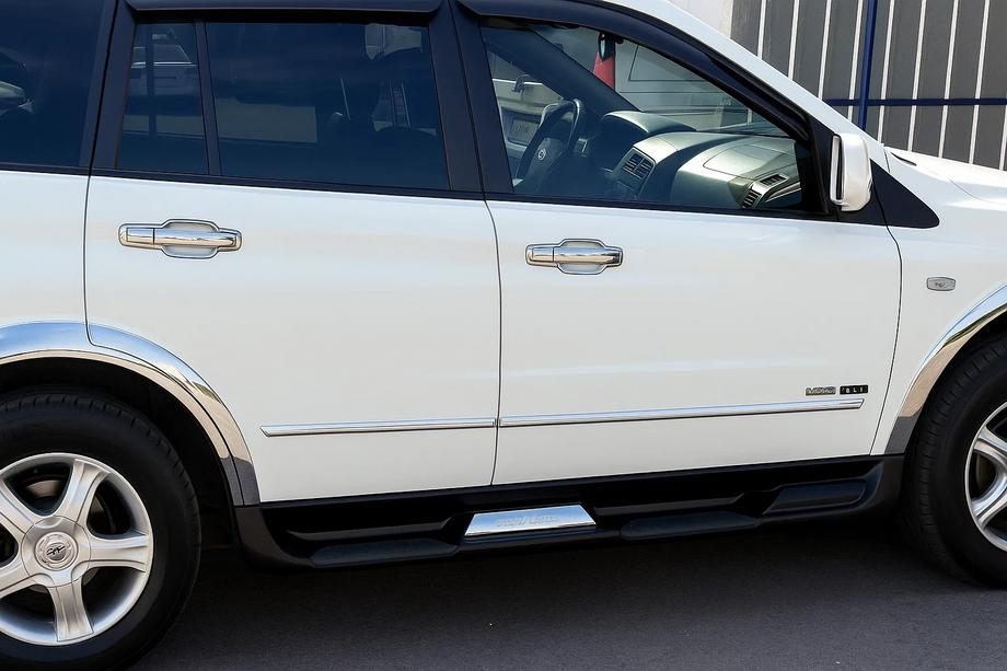 Ssang Yong Rodius Krom dørgrebsafdækninger (4 stk., plast) Image