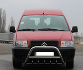 Citroen Jumpy 1996–2007 Kængurugitter WT003 (rustfrit stål) foto 1