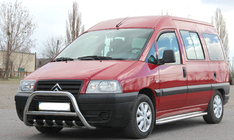 Peugeot Expert 1995–2007 Kængurugitter WT003 (rustfrit stål) foto 4