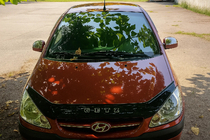 Hyundai Getz 2002– Krom spejlkapper til toppen af sidespejl (2 stk., plast) foto 3