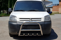 Citroen Berlingo 1996–2008 Kofangerbøjle WT003 (rustfri stål) 50 mm foto 1