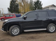 Toyota Land Cruiser Prado 150 2009–2023 Beskyttelse til sidetaerskel BB004 (2 stk., rustfrit staal) foto 7