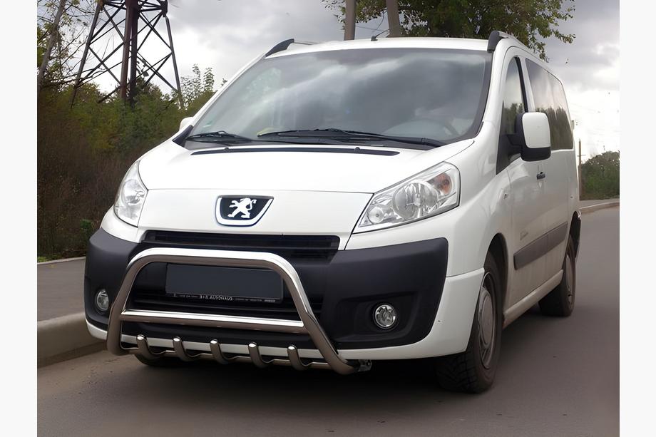 Citroen Jumpy 2007–2017 Bullbar WT003 (rustfrit stål) Image