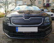 Skoda Octavia III A7 2013–2019 Vinterafdækning til kølergrill (2013-2017) Blank foto 1