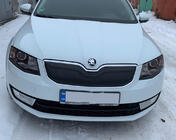 Skoda Octavia III A7 2013–2019 Vinterafdækning til kølergrill (2013-2017) Blank foto 2