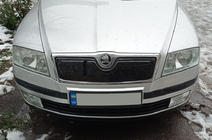Skoda Octavia II A5 2006–2010 Vinterdæksel til kølergrill (øverste) Mat foto 1