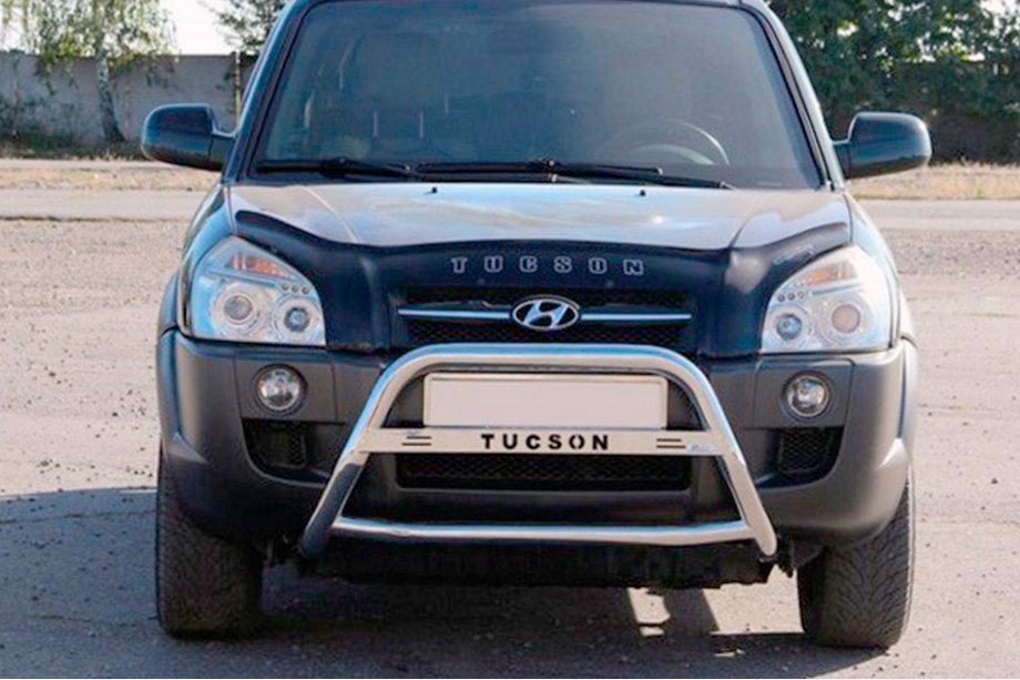 Hyundai Tucson JM 2004– Kængurubøjle WT025 (rustfrit stål) Image