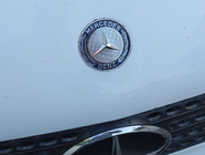 Mercedes Vito W639 2004–2014 Mercedes motorhjelmsstjerne (med beslag) foto 2