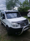 Fiat Doblo I 2005–2010 Forrudevisir (sort højglans, 5 mm) foto 9