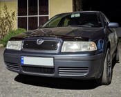 Skoda Octavia I Tour A4 1996–2010 Vinterafdækning til frontgrill (øverste) foto 3