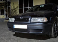 Skoda Octavia I Tour A4 1996–2010 Vinterafdækning til frontgrill (øverste) foto 4