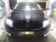 Skoda Rapid 2012–2019 Vinterafdækning til frontgrill (øverste) Mat foto 1
