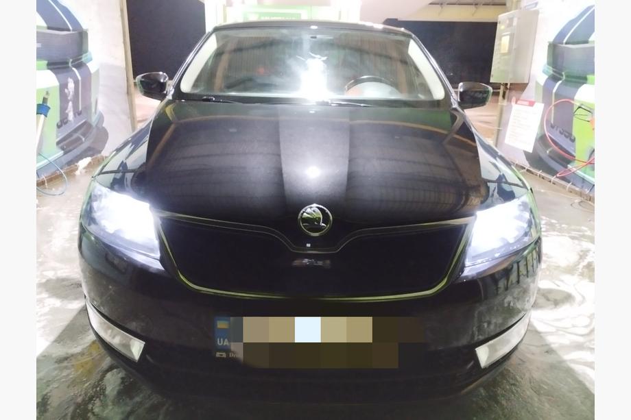 Skoda Rapid 2012–2019 Vinterafdækning til frontgrill (øverste) Mat Image