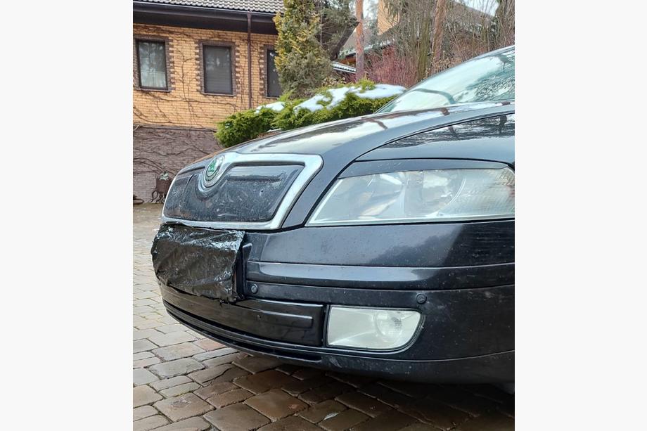 Skoda Octavia II A5 2006–2010 Vinterafdækning til kølergrill (nedre) Blank Foto 2
