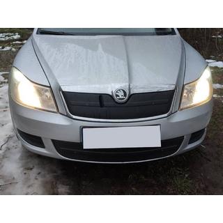 Vinterdæksel til kølergrill (øverste) foto 1