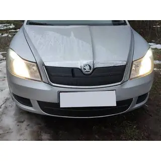 Vinterdæksel til kølergrill (øverste)