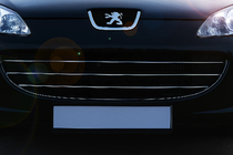 Peugeot 407 2004–2011 Kølergrill-lister (3 stk., rustfrit stål) foto 1