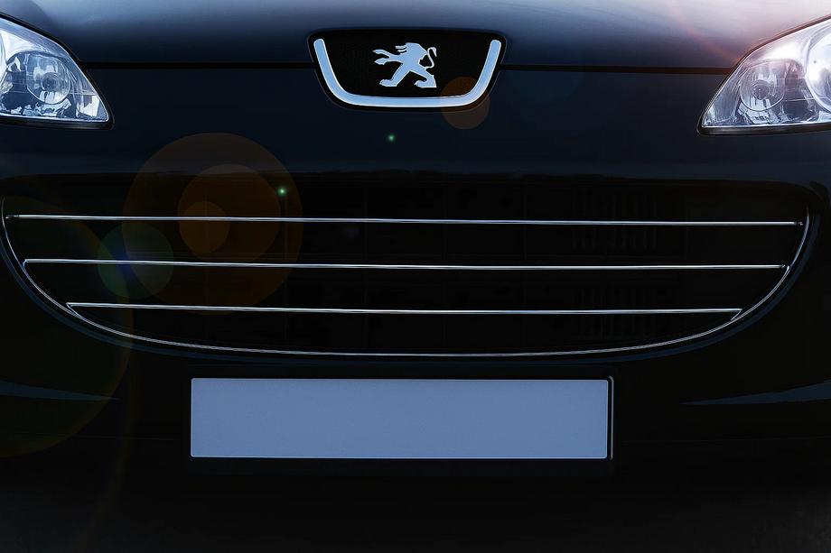Peugeot 407 2004–2011 Kølergrill-lister (3 stk., rustfrit stål) Image