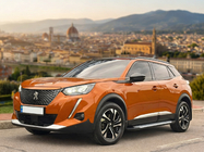 Peugeot 3008 2016–2023 Sidetrin Allmond Grey (2 stk., aluminium) foto 1