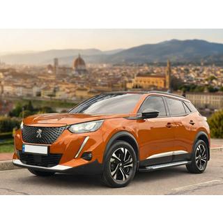 Sidetrin Allmond Grey (2 stk., aluminium) Peugeot 3008 2016–2023 foto 1