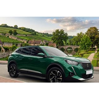 Allmond Black sidetrin (2 stk., aluminium) Peugeot 3008 2016–2023 foto 1
