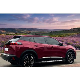 Sidestrin Line (2 stk., aluminium) Peugeot 3008 2016–2023 foto 1