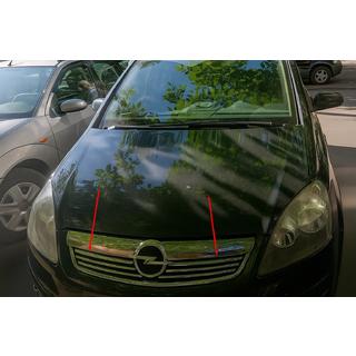 Grillister (6 stk., rustfrit stål) Opel Zafira B 2005–2011 foto 1