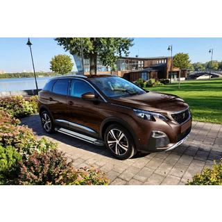 Rainbow sidetrin (2 stk., aluminium) Peugeot 3008 2016–2023 foto 1