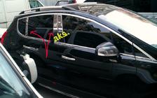 Peugeot 3008 2008–2016 Stolpedæksler (rustfrit stål) foto 4