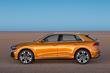 Anmeldelse af den nye premium-crossover Audi Q8 foto 2