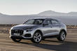 Anmeldelse af premium-crossoveren Audi Q8 foto 6