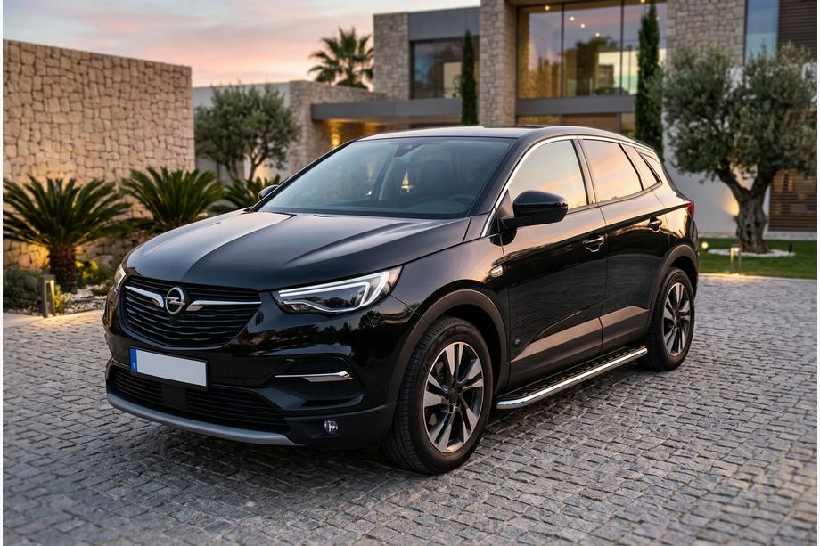 Opel Grandland X 2017– Maydos V1 sidetrin (2 stk., aluminium + rustfrit stål) Image