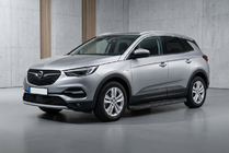 Opel Grandland X 2017– Sidetrin Tayga Black (2 stk., aluminium) foto 1