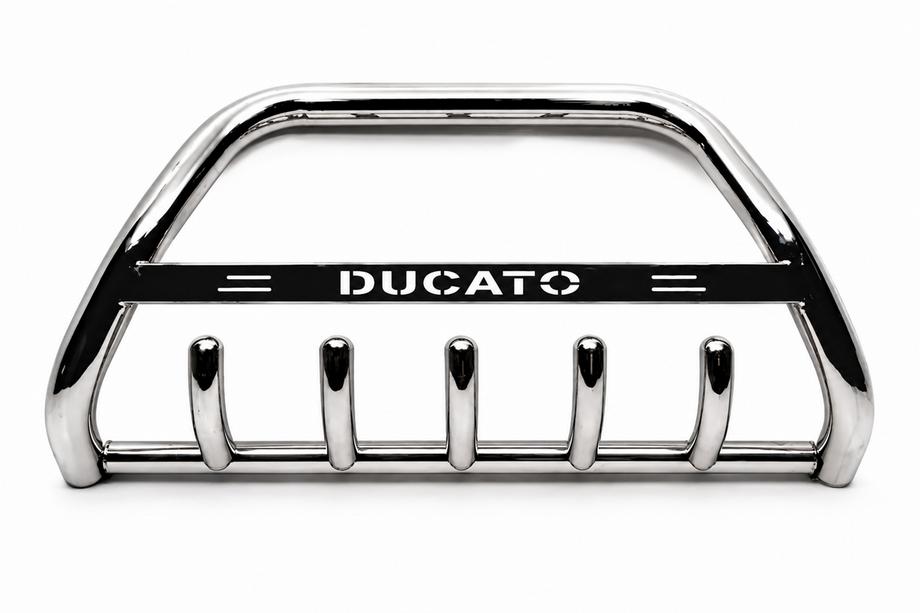 Fiat Ducato 1995–2006 Kængurubøjle WT004 (rustfrit stål) Image