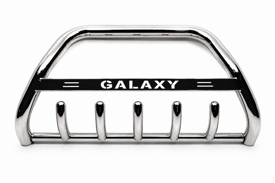 Ford Galaxy 1995–2006 Kængurubøjle WT004 (rustfrit stål) Image