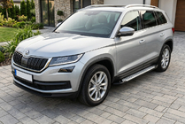 Skoda Kodiaq 2016–2023 Sidetrin Allmond Grey (2 stk., aluminium) foto 1