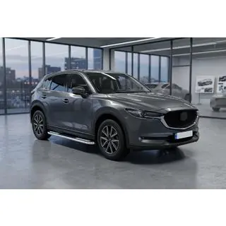 Sidetrin Tayga V2 (2 stk., aluminium) foto 1