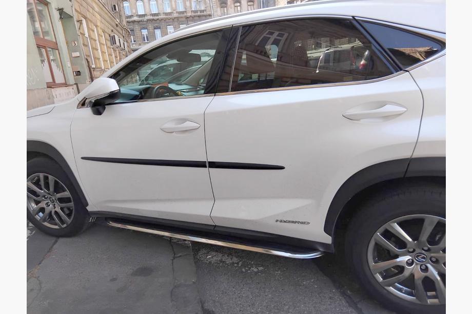 Lexus NX 2014–2021 Sidetrin Original V2 (2 stk.) Image