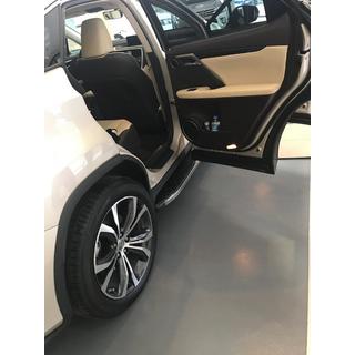 Sidetrin BlackLine (2 stk.) foto 2