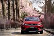 Anmeldelse af den kompakte crossover Geely Emgrand GS foto 8