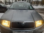 Skoda Fabia 2000–2007 Vinterafdækning til kølergrill Mat foto 1
