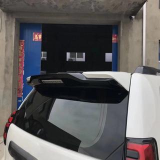 Spoilerindsats (monteres oven på original spoiler) foto 2