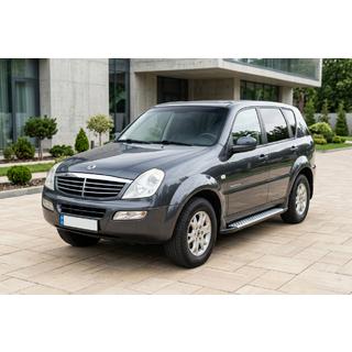 Sidetrin Allmond Grey (2 stk., alu) SsangYong Rexton I 2001–2017 foto 1